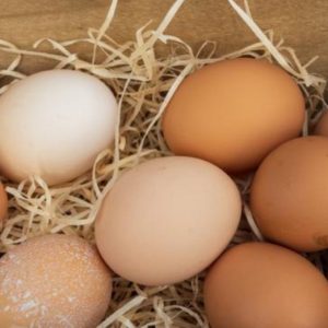 6 Manfaat Telur Ayam Kampung Bagi Kesehatan, Rendah Kolesterol