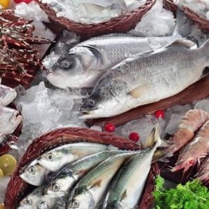 6 Cara Memilih ikan segar yang wajib kamu ketahui