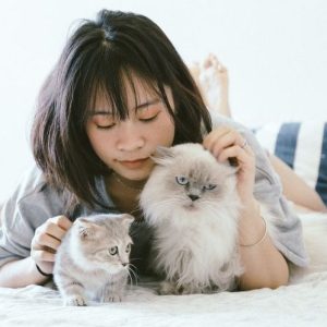 7 Tips Menjaga Kesehatan Kucing Peliharaan