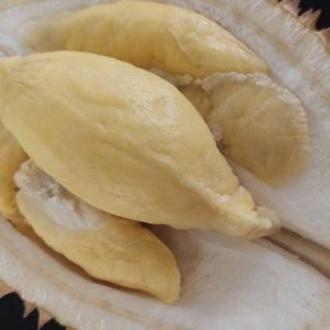 Manisnya Potensi Durian Lokal yang Sulit Dibudidayakan