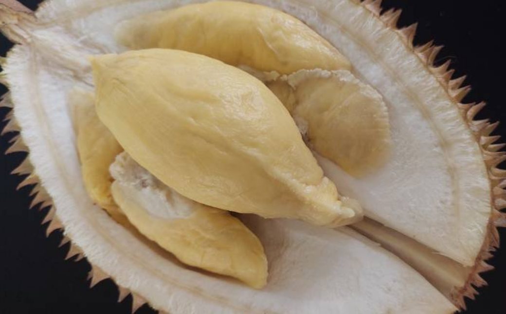 Manisnya Potensi Durian Lokal yang Sulit Dibudidayakan