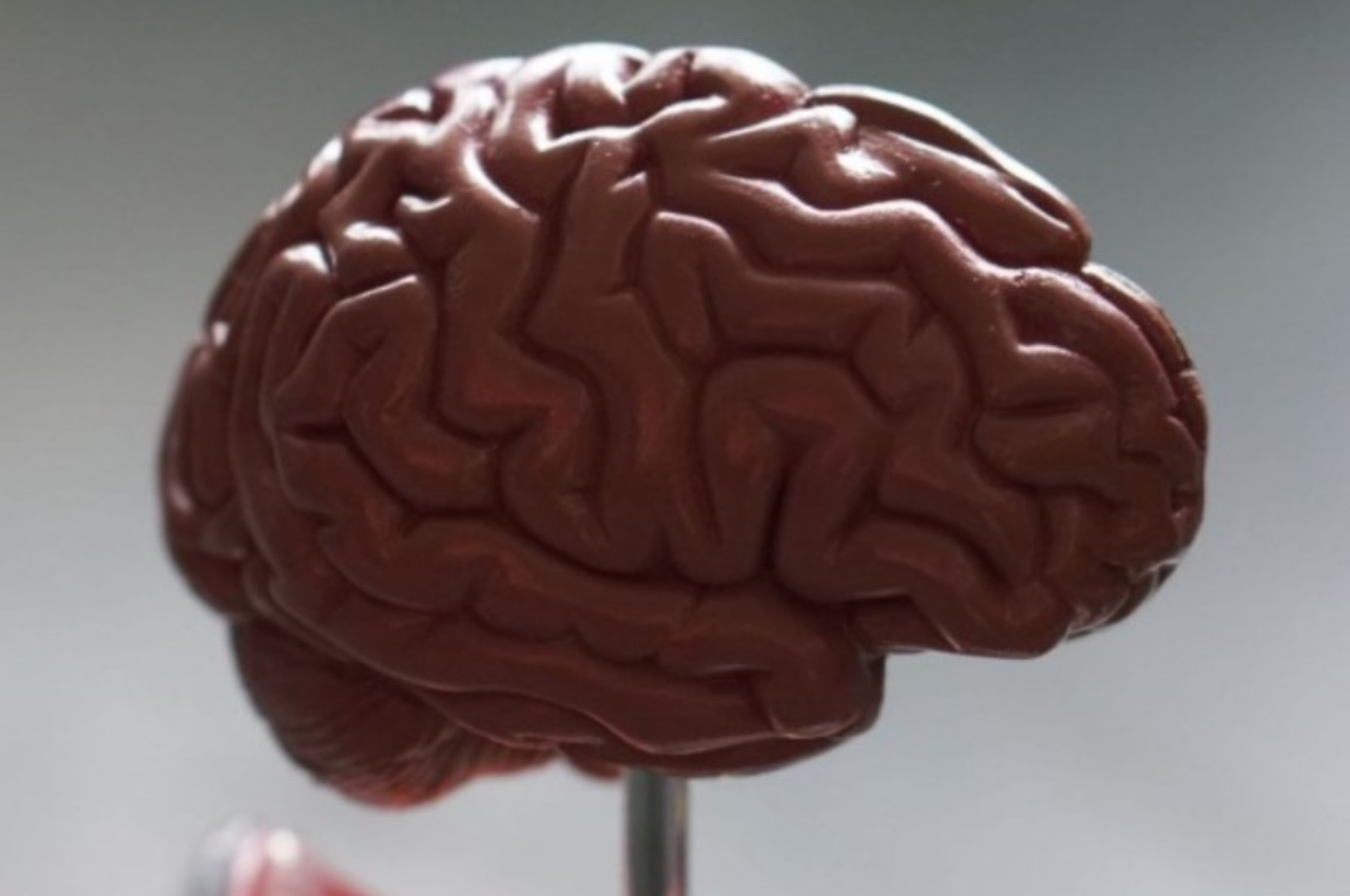 Menurut Studi Asupan Omega-3 Pelihara Otak pada Usia Paruh Baya